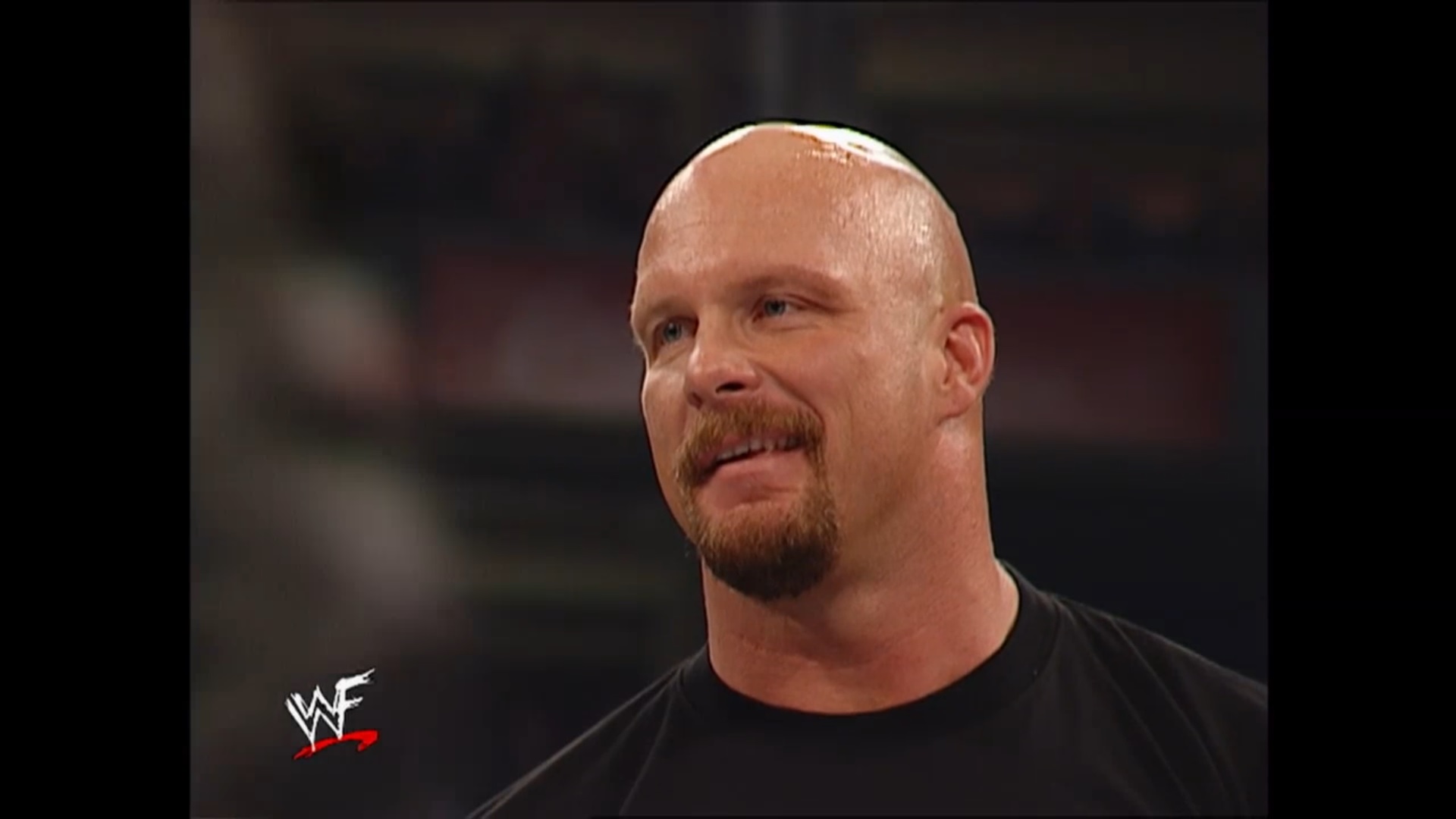 1 — копия — копия.jpg