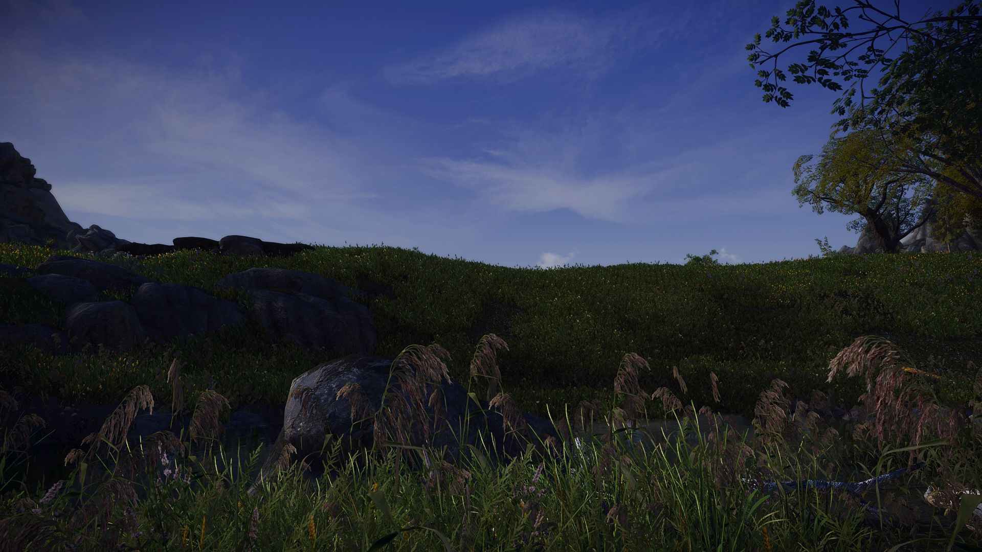 The Elder Scrolls V  Skyrim Special Edition Screenshot 2024.02.20 - 10.58.22.14.jpg