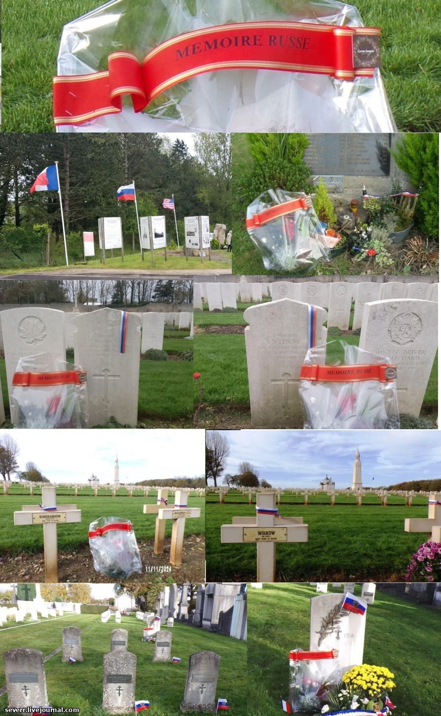 11-11.jpg