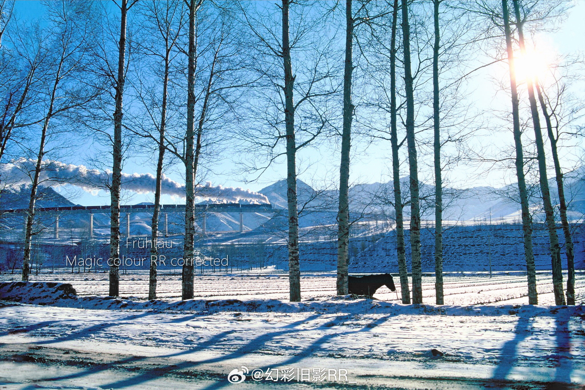 1997 ???.jpg
