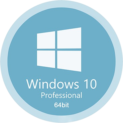 Windows 10 Pro 22H2