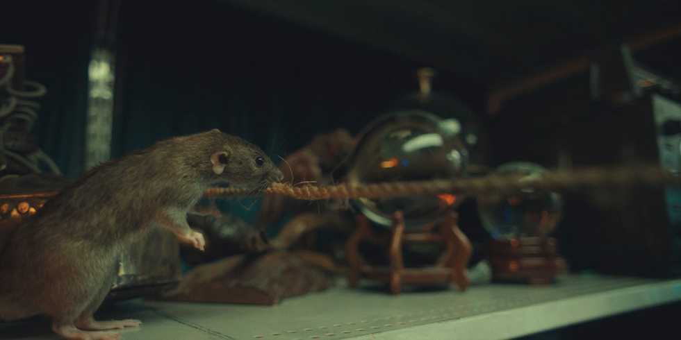 Обезьяна (2025) WEB-DLRip-AVC_ivanes.mkv_20250404_074655.785.png