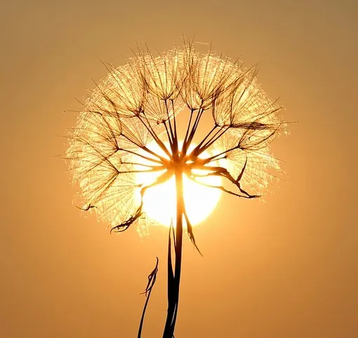 https://i8.imageban.ru/out/2025/05/13/b0e497ff556096e85930c684de2cbb66.webp
