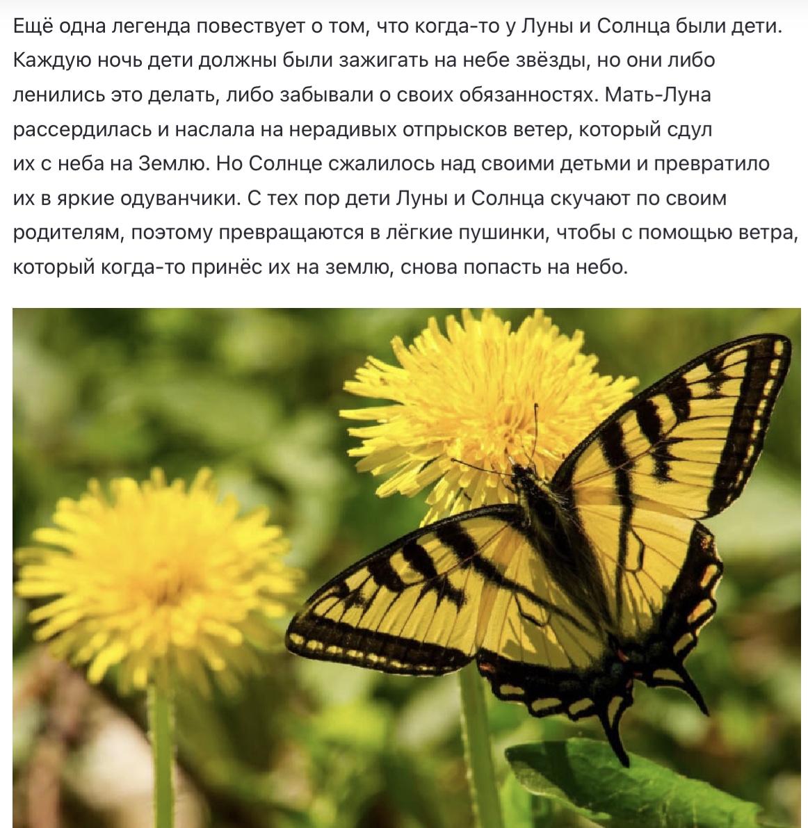 https://i8.imageban.ru/out/2025/05/13/c60472890949ceb05040b1f65340598b.jpeg