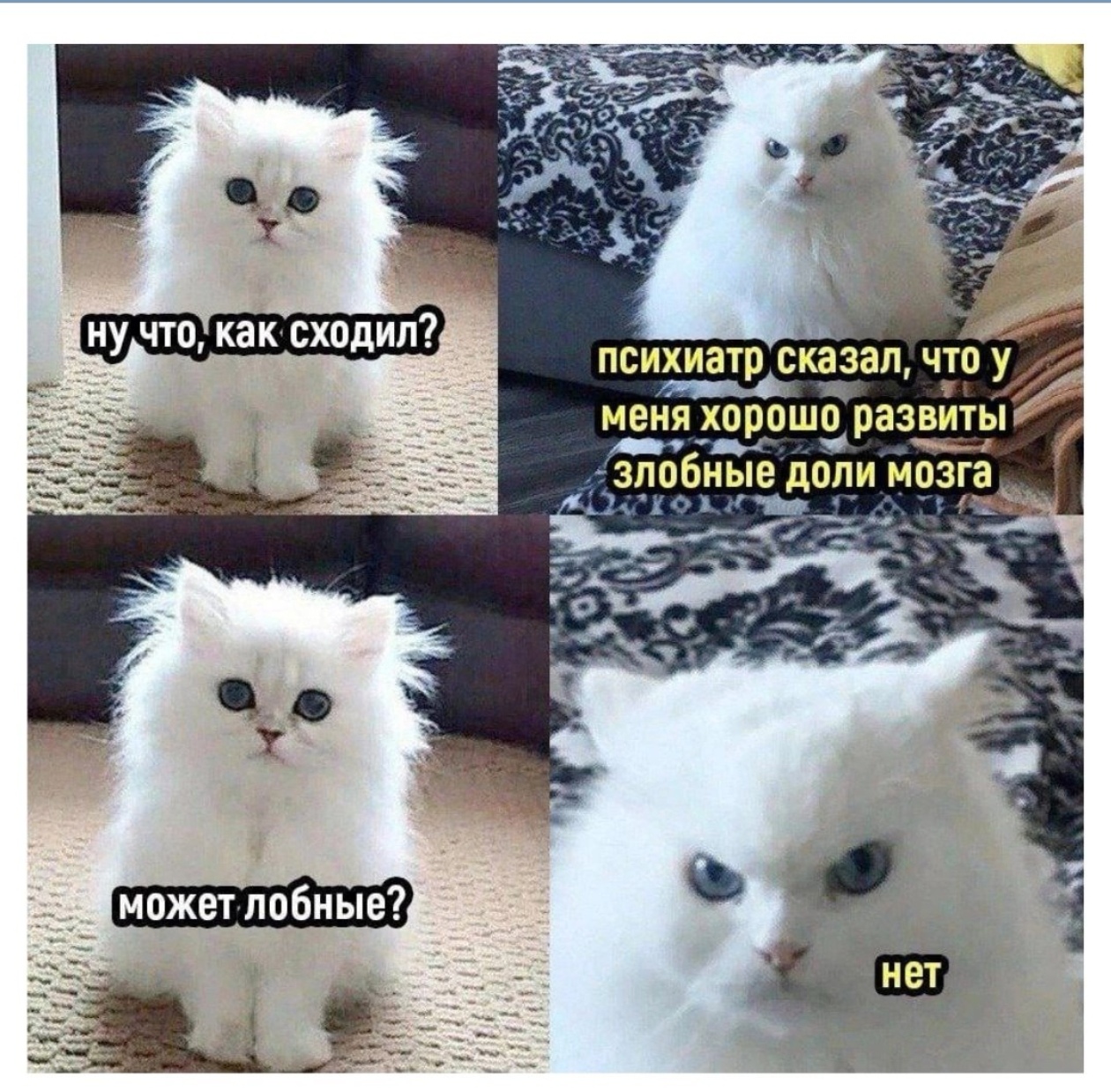 https://i8.imageban.ru/out/2025/05/24/406ed6d441f5d333c98b2e7734046dc1.jpg