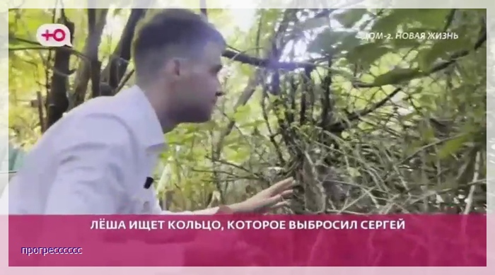 https://i8.imageban.ru/out/2025/05/26/8f341dd3b40cc701a32652d0a5a73032.jpg