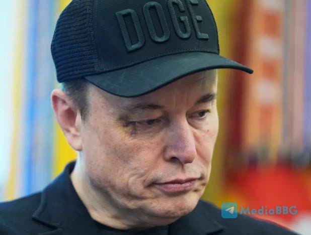 https://i8.imageban.ru/out/2025/05/31/85b2d566ebdf96a8953eab5db4af7f68.jpg