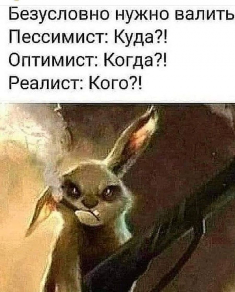 изображение_2025-06-08_171056452.png
