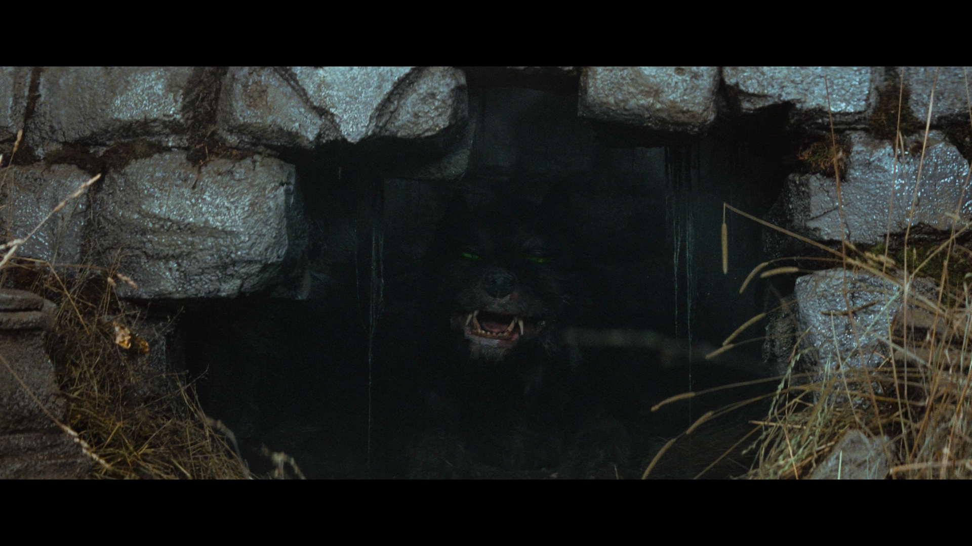 The.Neverending.Story.1984.Imprint.BDRemux.1080p.US.International.Cut[(103669)2025-06-08-13-43-29].PNG