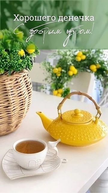 https://i8.imageban.ru/out/2025/06/10/ca67f1cc775947b4a90fd27c04b75a8f.jpeg