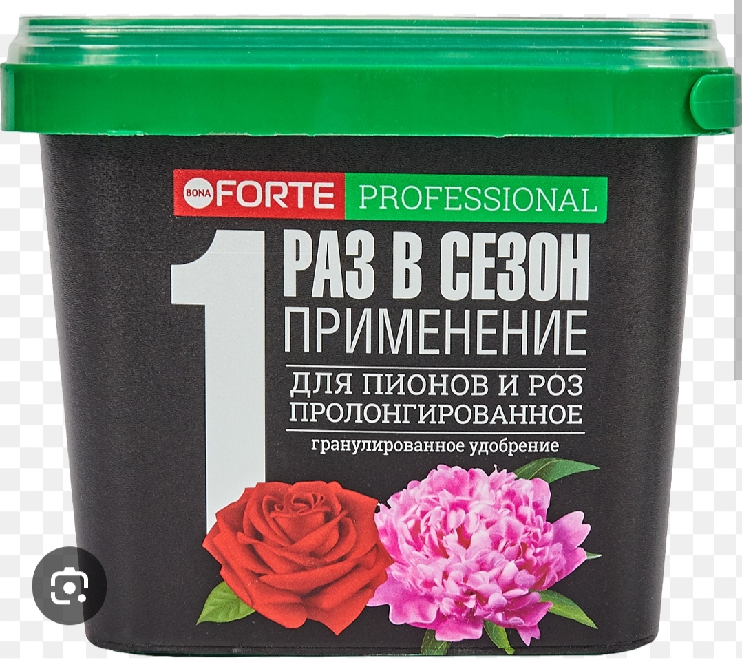 https://i8.imageban.ru/out/2025/06/16/32f9915e0fd39dab546a3e7862ba968e.jpg