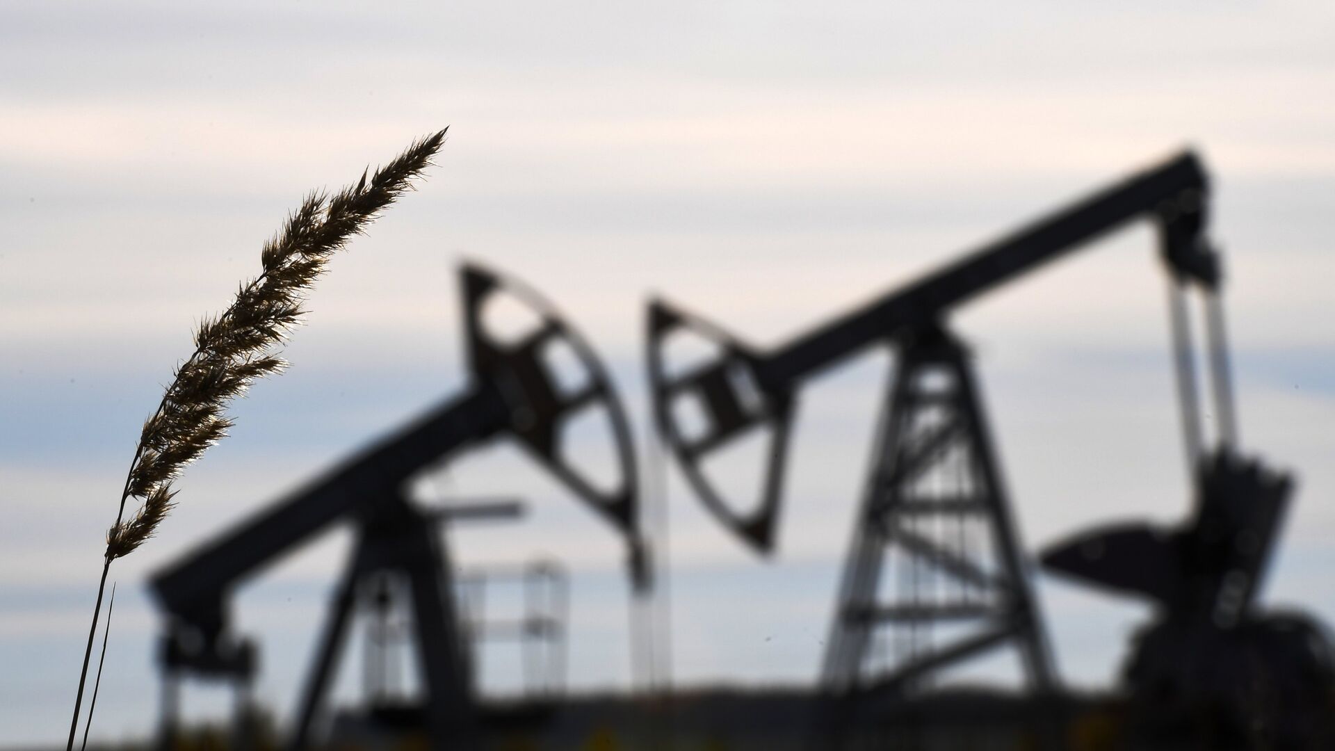 Новак не стал комментировать прогнозы роста цен на нефть до $100 за баррель