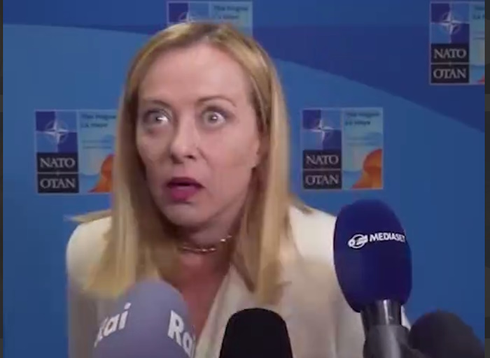 https://i8.imageban.ru/out/2025/06/27/6a7ee279dff9296bc031f5a484f36514.jpg