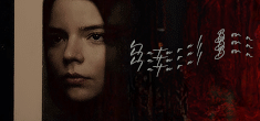 https://i8.imageban.ru/out/2025/07/13/4f83d981f6f67101076f2c16510f558b.gif