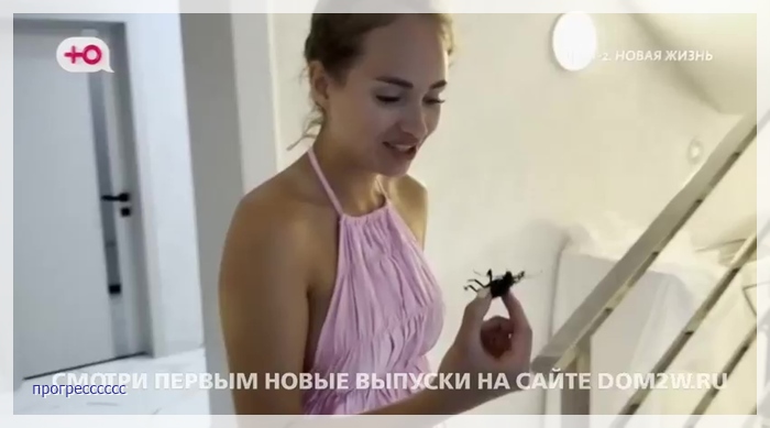 https://i8.imageban.ru/out/2025/08/02/08128ef3ff39f056116d322f34aec948.jpg