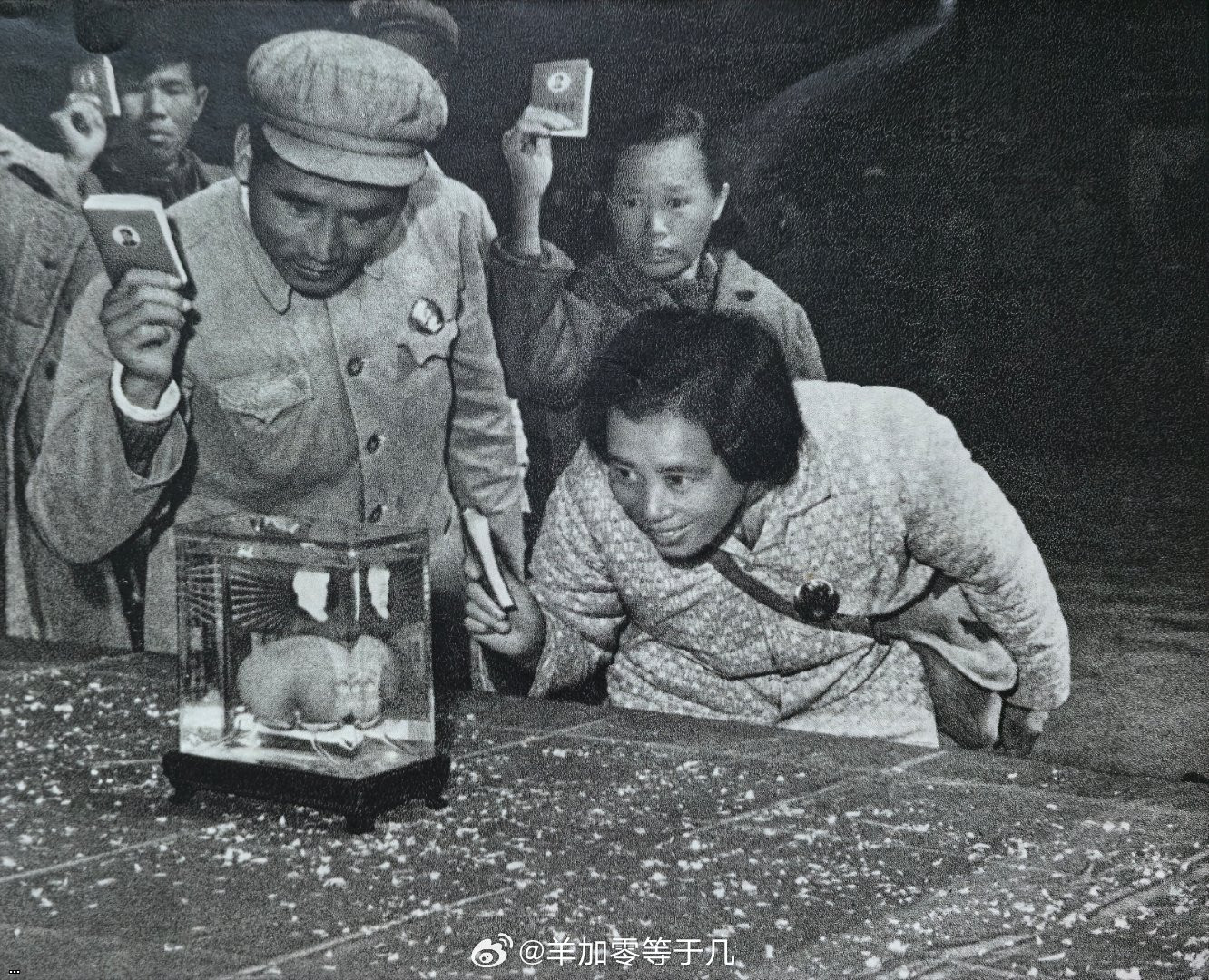 ?????1968.jpg