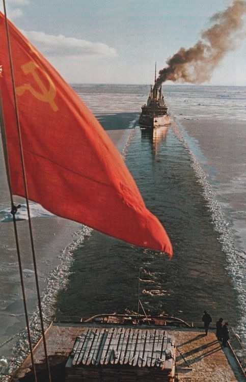 https://i8.imageban.ru/out/2025/08/15/b9f9c8849419f16cba7f5513b56b157e.jpg