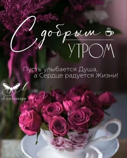 https://i8.imageban.ru/out/2025/08/19/3aceedca1c7117b9577632366cc760bf.jpeg