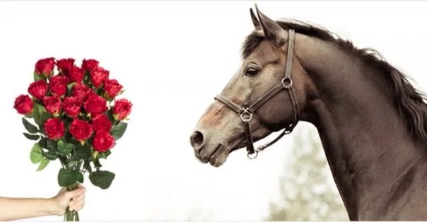 https://i8.imageban.ru/out/2025/08/31/0c67398b0b8534f6d8bf6709f4458e24.webp