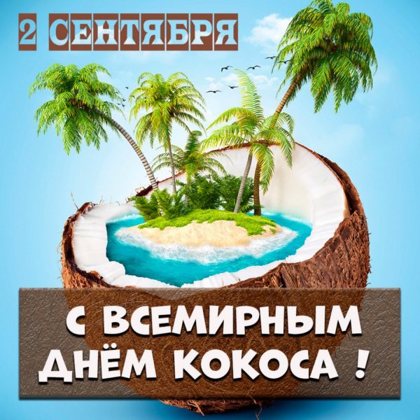 https://i8.imageban.ru/out/2025/09/02/537571815a8d40885a77c02bad4cf001.jpeg
