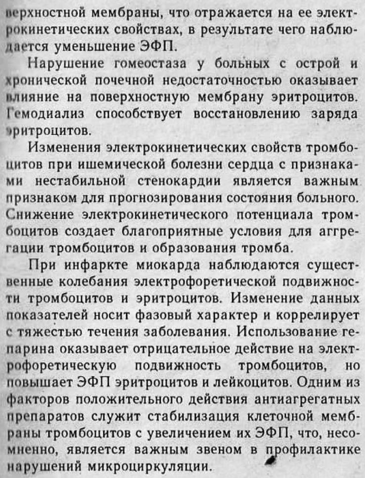 https://i8.imageban.ru/out/2025/09/02/6246011a110817501dc003c94df70303.jpg