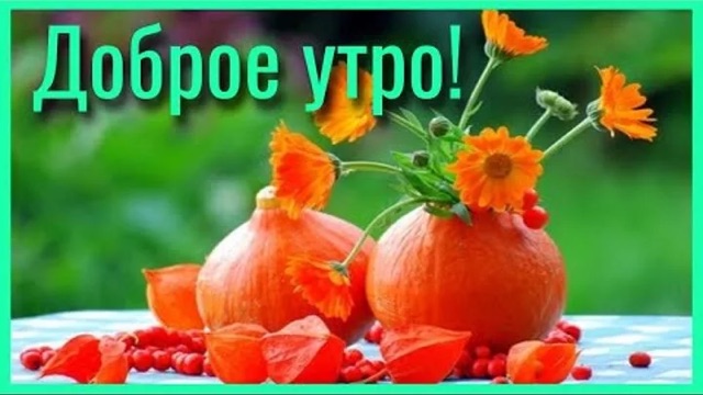 https://i8.imageban.ru/out/2025/09/05/05a8e2320ddaa5df1aeebf30dd43e2d5.webp