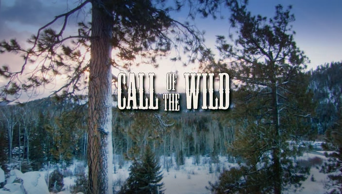 Call.of.the.Wild.2009.BDRip-ylnian.avi_snapshot_00.00.34.433.png