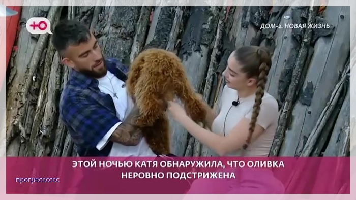 https://i8.imageban.ru/out/2025/09/14/b9f11ed820df53716825f05144ad7c9d.jpg