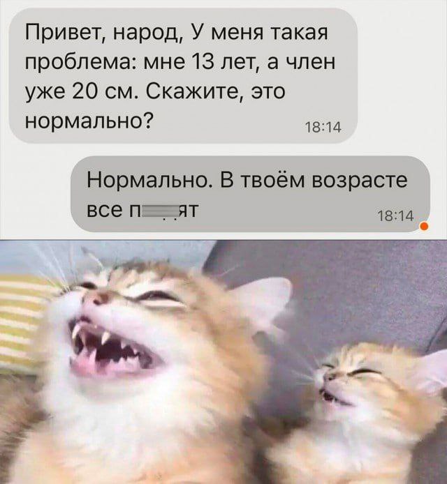 696274ae6ed9dd4ec977c91e662c2926.jpg