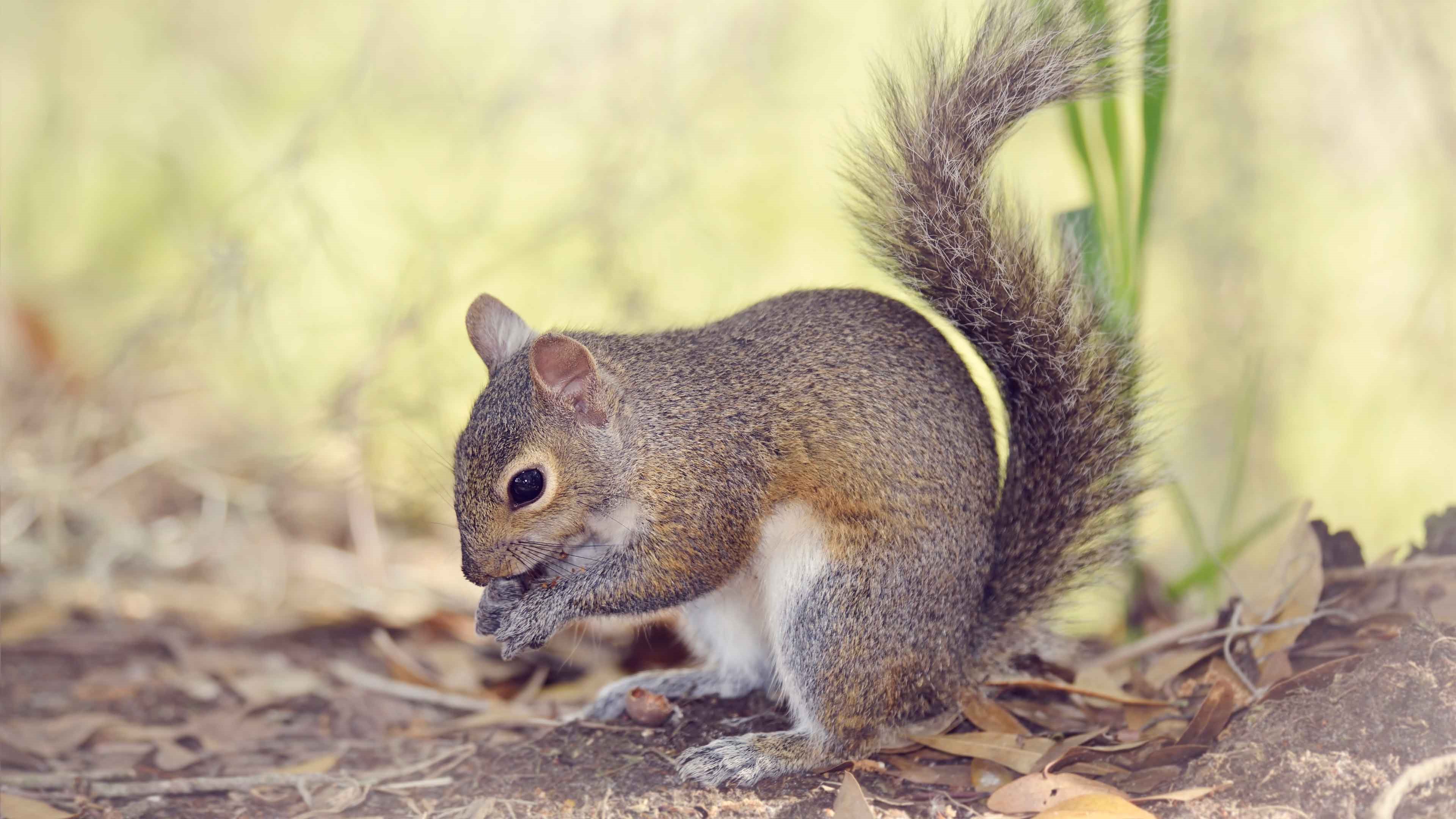 Клик для увеличения