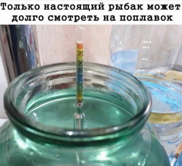 https://i8.imageban.ru/out/2025/10/06/acdf5c195bb3edba7feab98bebe52c93.jpg