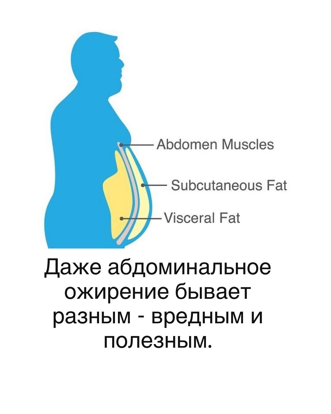 https://i8.imageban.ru/out/2025/10/09/ece9366b18a13e03334d57335f831998.jpg
