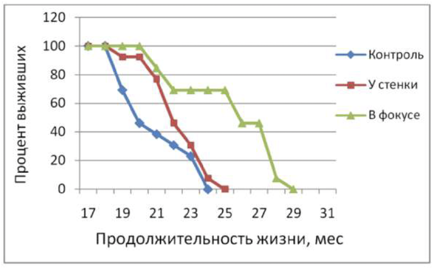 https://i8.imageban.ru/out/2025/10/10/b42ad5aeaae10af3531aeda32fbadb46.png