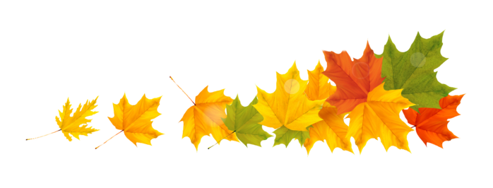 103530004_3.png