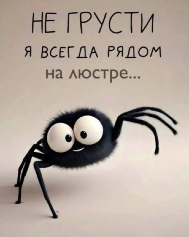 1000004258.jpg