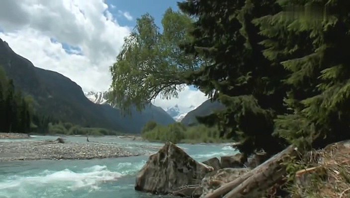 16. Николай Ярошенко (2018).avi_20251019_171946.375.png