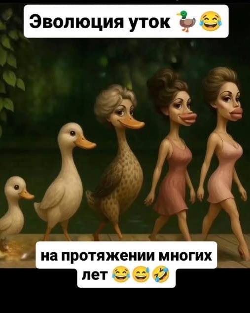 1000004528.jpg