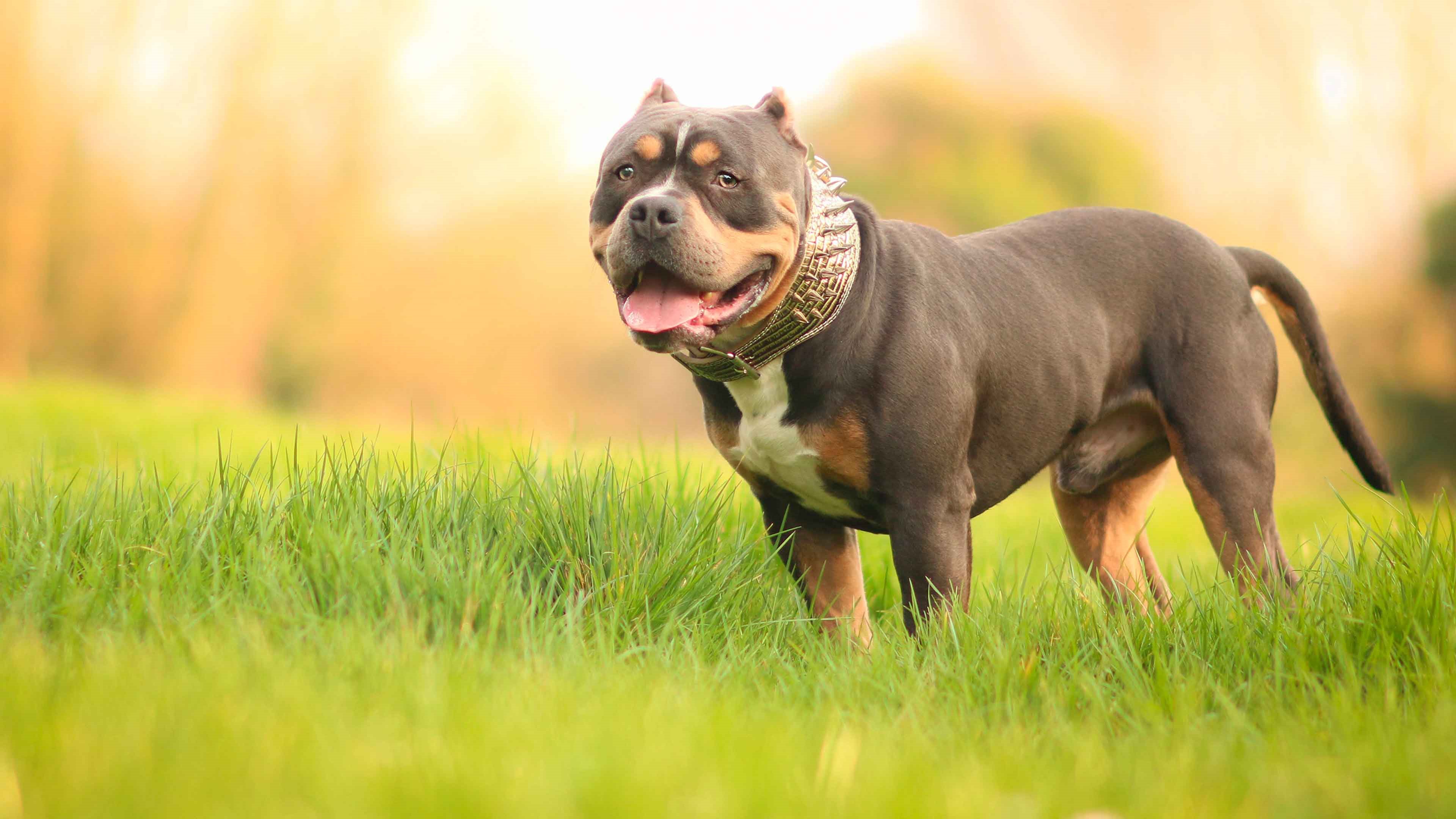 Клик для увеличения