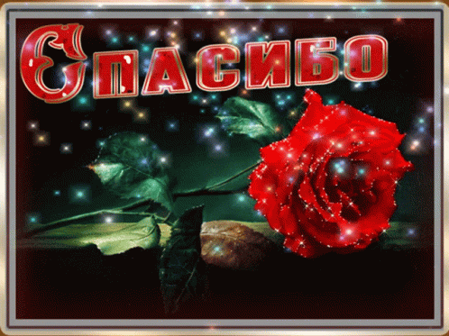 https://i8.imageban.ru/out/2025/11/15/b53cc5627d4bfd4aebce1d9dd43501f6.gif