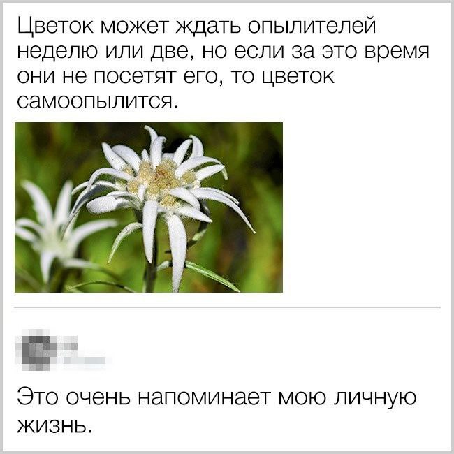 a43b6581af00e7eac47f3c1da6367a1c.jpg