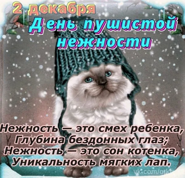 https://i8.imageban.ru/out/2025/12/02/674ef925714060bb2beb869a7bfcb12b.webp