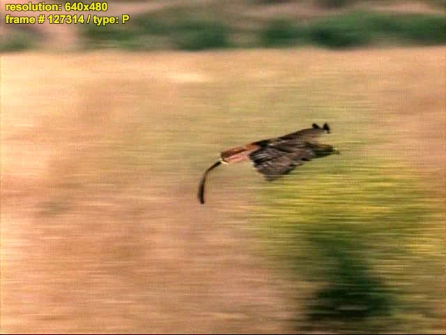 Повелитель зверей 3 Глаз Браксуса - Beastmaster III The Eye of Braxus (by ale_x2008).avi127314.png