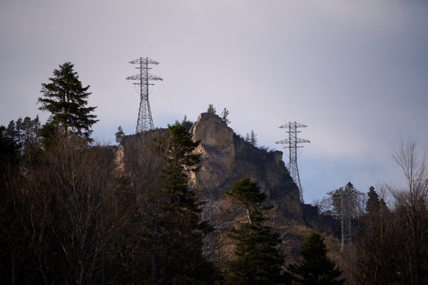 «Россети Юг» отремонтировали 470 км ЛЭП на Кубани и в Адыгее