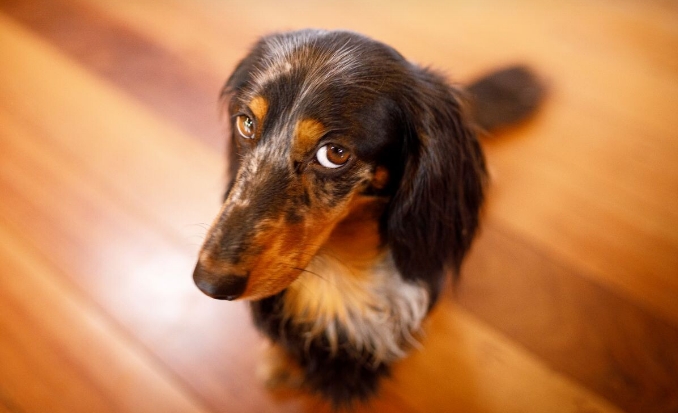 Скриншот 05-12-2025 044536.jpg