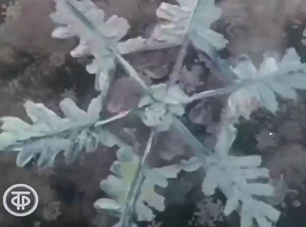 Контуры (2).png