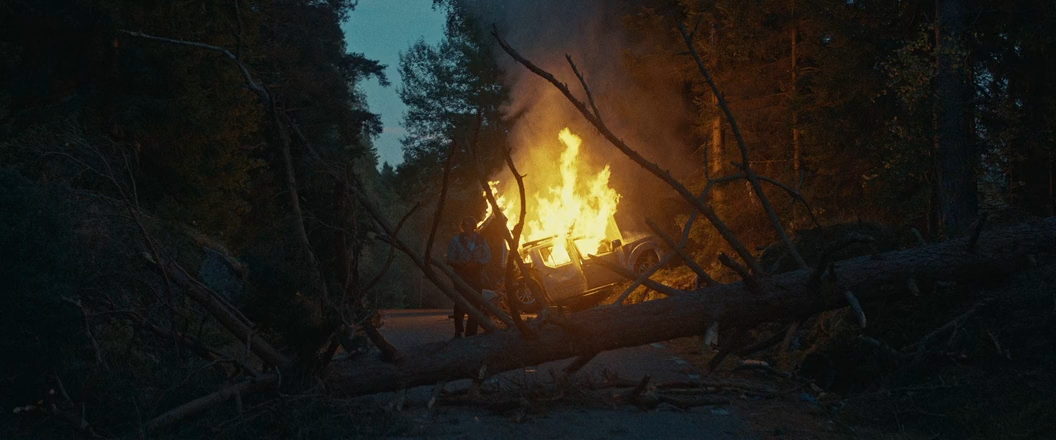 Последний викинг (2025) WEB-DLRip-AVC_ivanes.mkv_snapshot_01.24.44.000.png