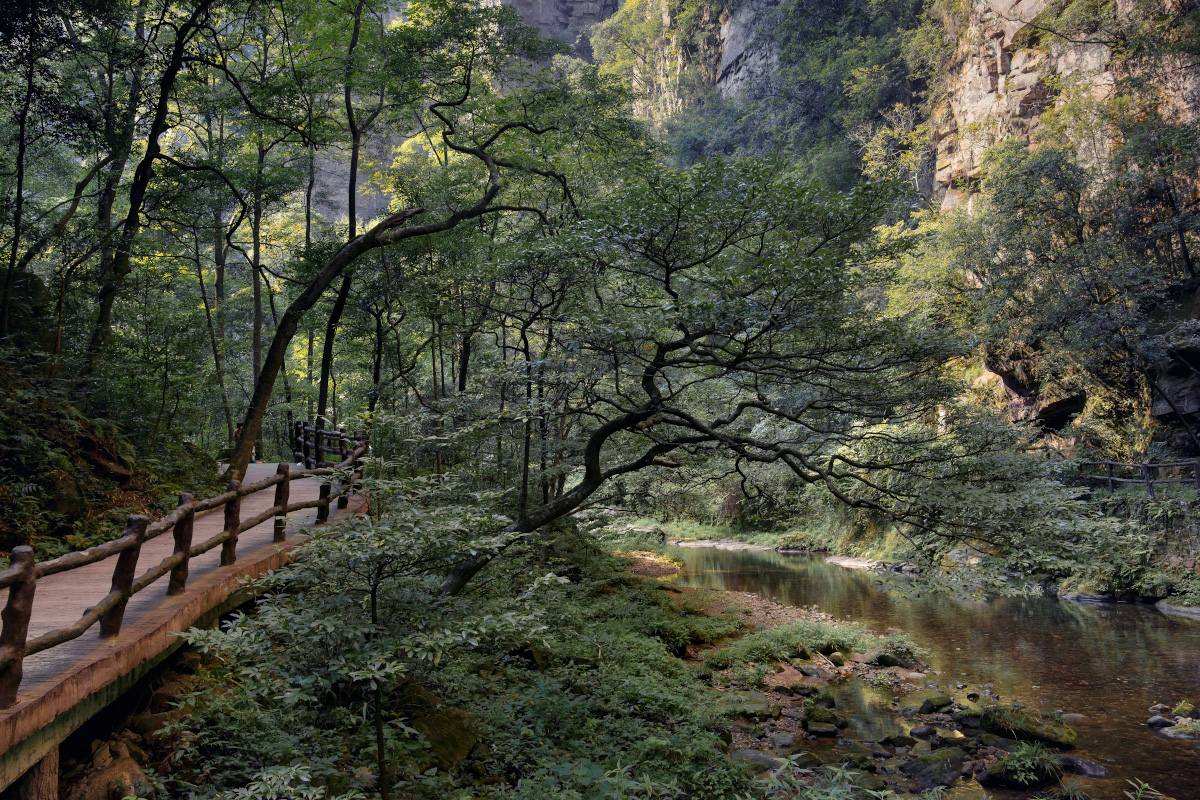 каньон Golden Whip.jpg