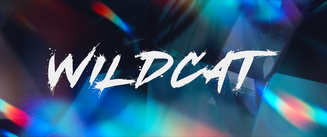 Идеальная афера (2025) WEB-DLRip-AVC_ivanes.mkv_snapshot_00.06.20.970.png