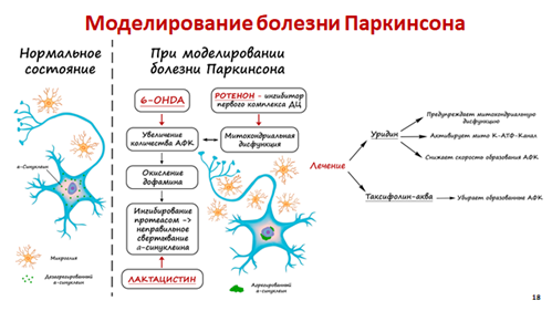 Моделирование болезни Паркинсона