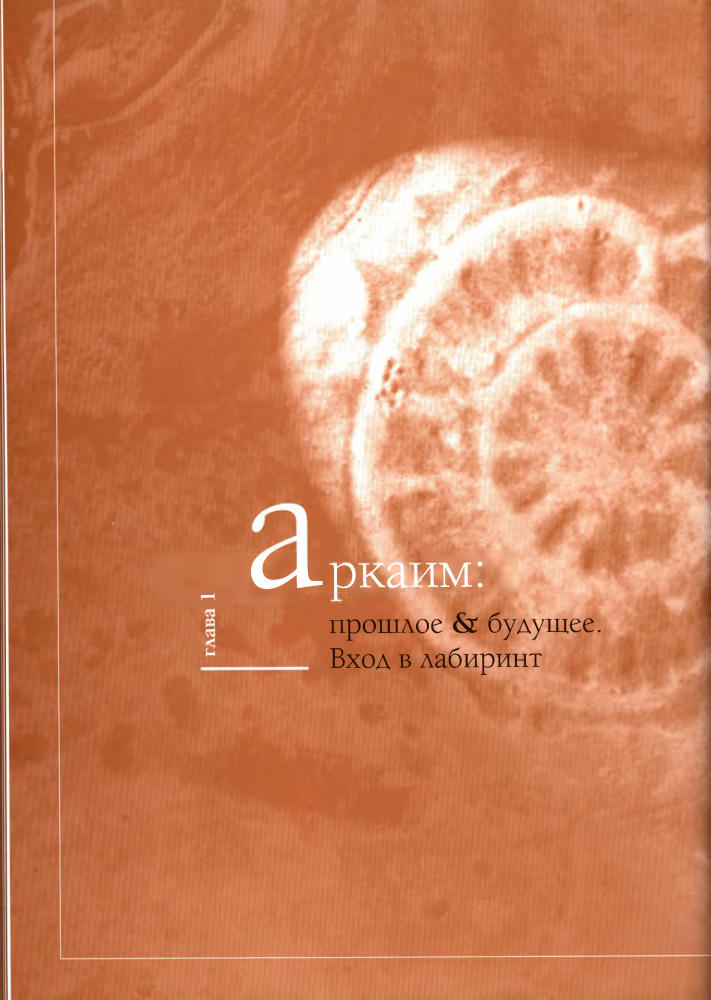 Зданович Г., ред. - Аркаим. У истоков цивилизации - 2009_pic15.jpg